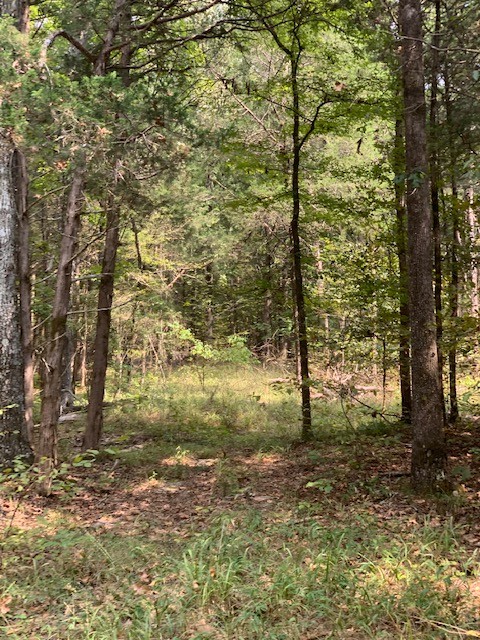 231 Kindle Road Decaturville, TN 38329 - Photo 16 of 27 Gallery Image 16