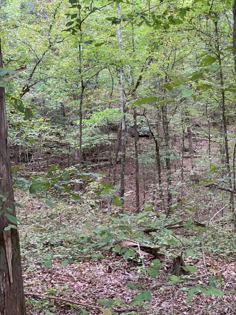 231 Kindle Road Decaturville, TN 38329 - Photo 23 of 27 Gallery Image 23