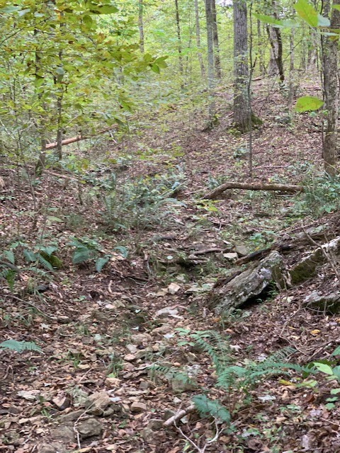 231 Kindle Road Decaturville, TN 38329 - Photo 26 of 27 Gallery Image 26