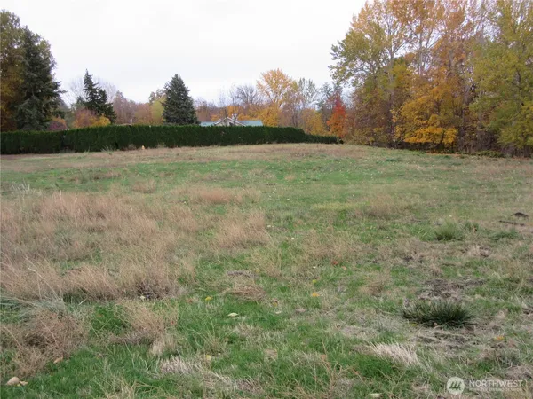 a view of a field with trees in the background