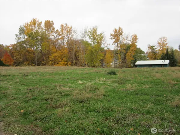 a view of outdoor space with trees all around