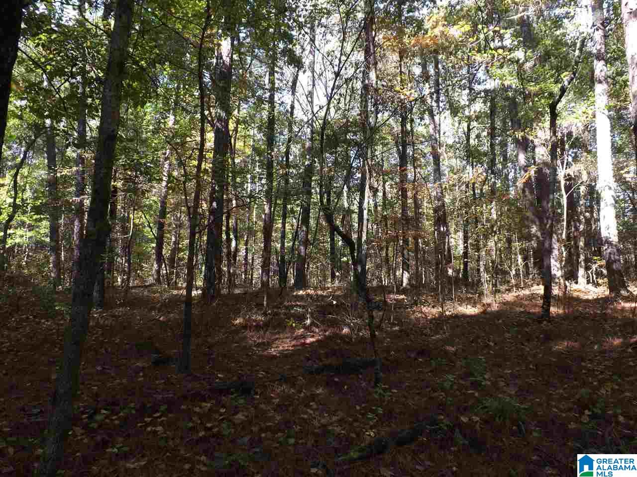 Lake Road, Unit 22 5 McCalla, AL 35111 - Photo 15 of 17