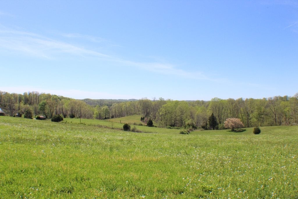 0 Jones Ridge Road Burkesville, KY 42717 - Photo 1 of 1 Gallery Image 1