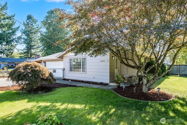 a view of a backyard with plants and large tree