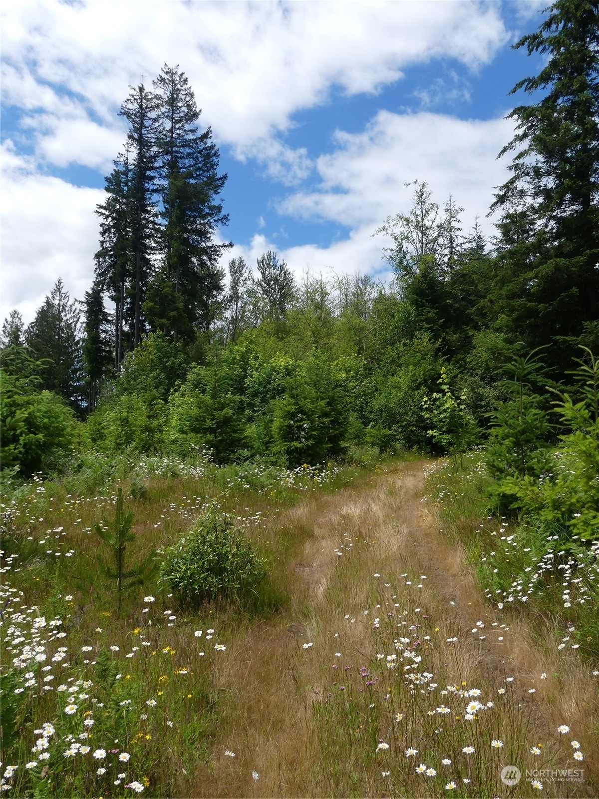 0 Spencer Road Onalaska, WA 98570 - Photo 1 of 7 Gallery Image 1