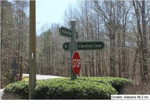 Cheshire Lane Pelham, AL 35124 - Photo 3 of 17