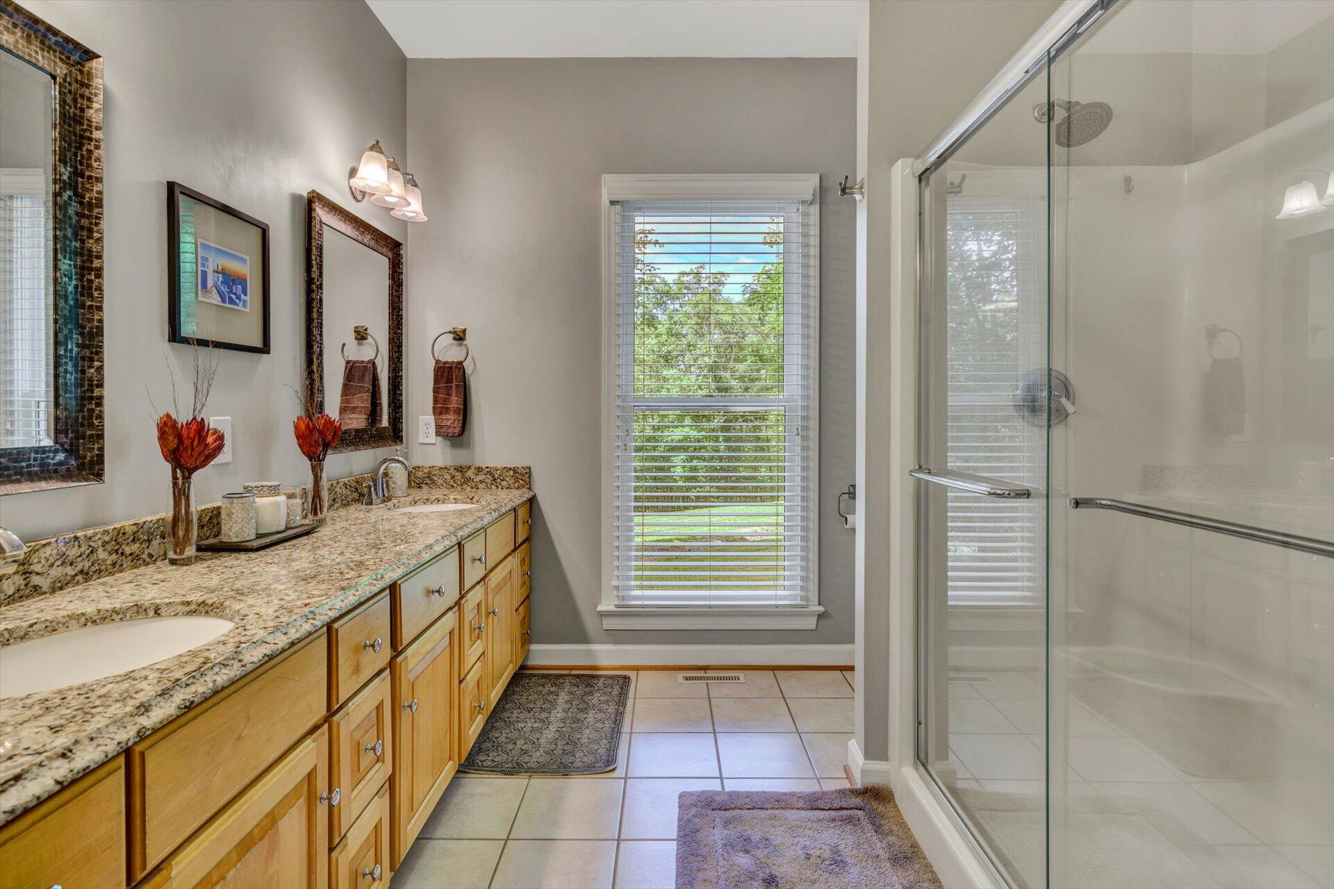 2795 New Ridge Road Elliston, VA 24087 - Photo 20 of 46 a bathroom with a granite countertop sink a mirror and a shower