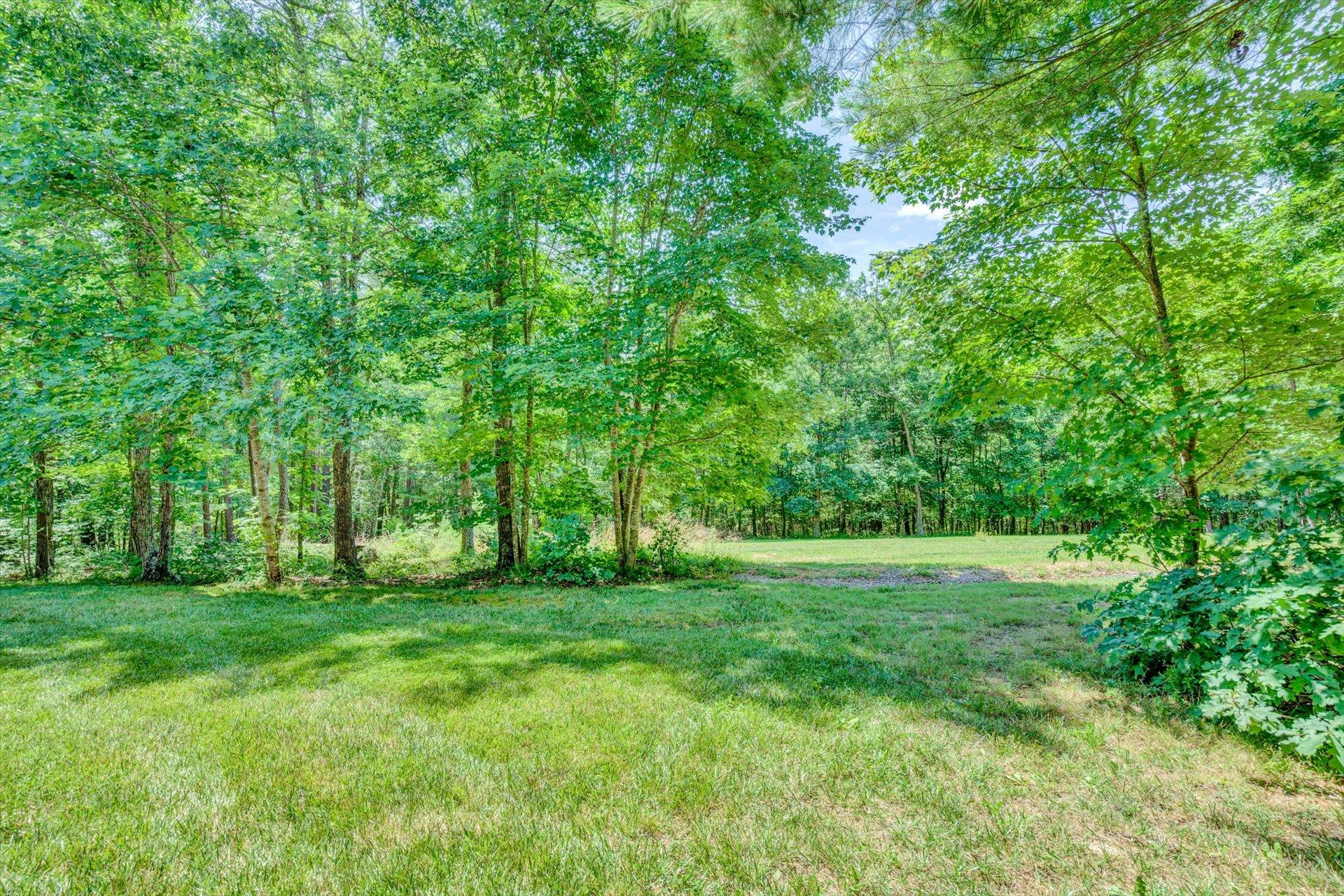 2795 New Ridge Road Elliston, VA 24087 - Photo 39 of 46 a view of a grassy field with trees in the background