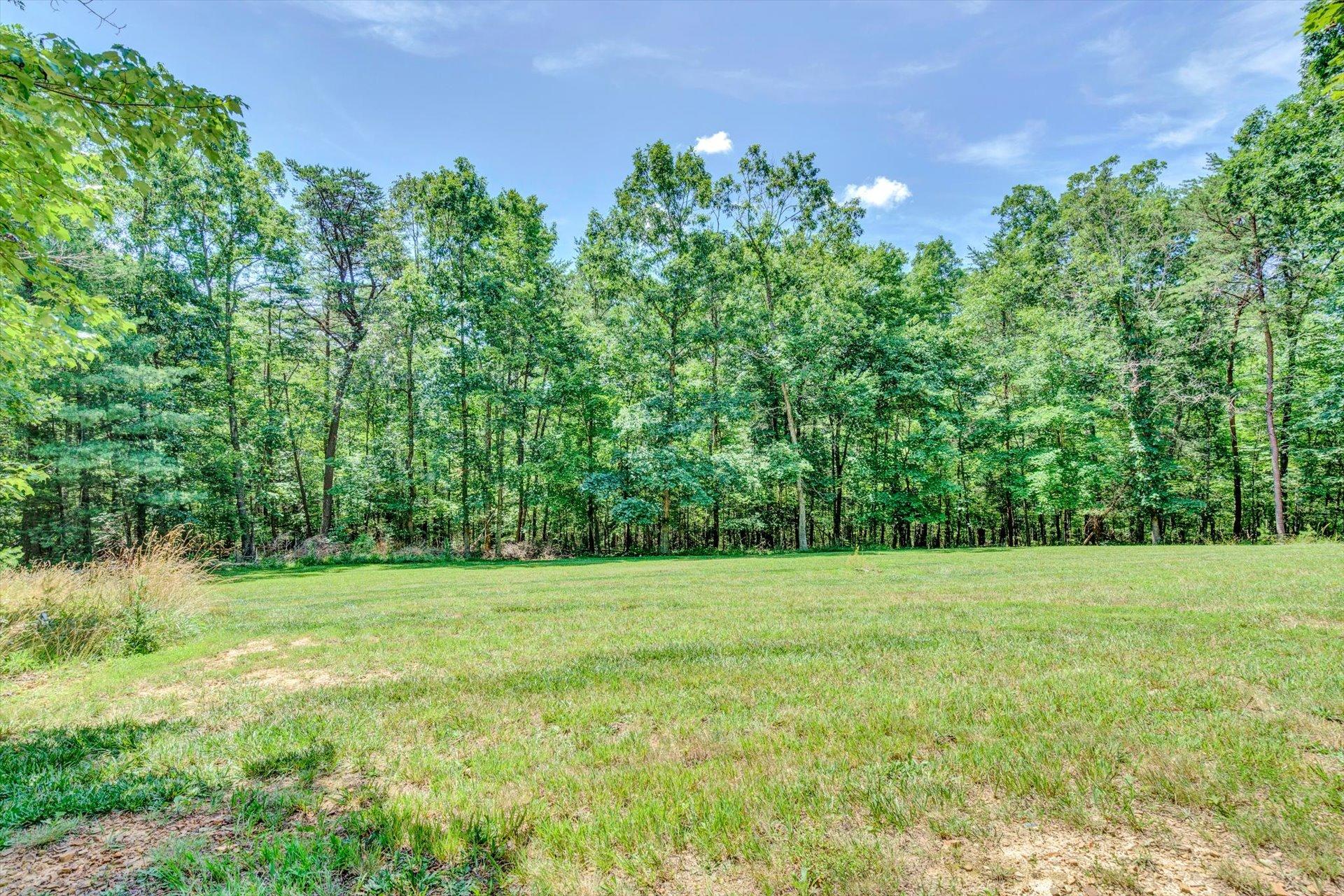 2795 New Ridge Road Elliston, VA 24087 - Photo 40 of 46 a view of a grassy field with trees in the background