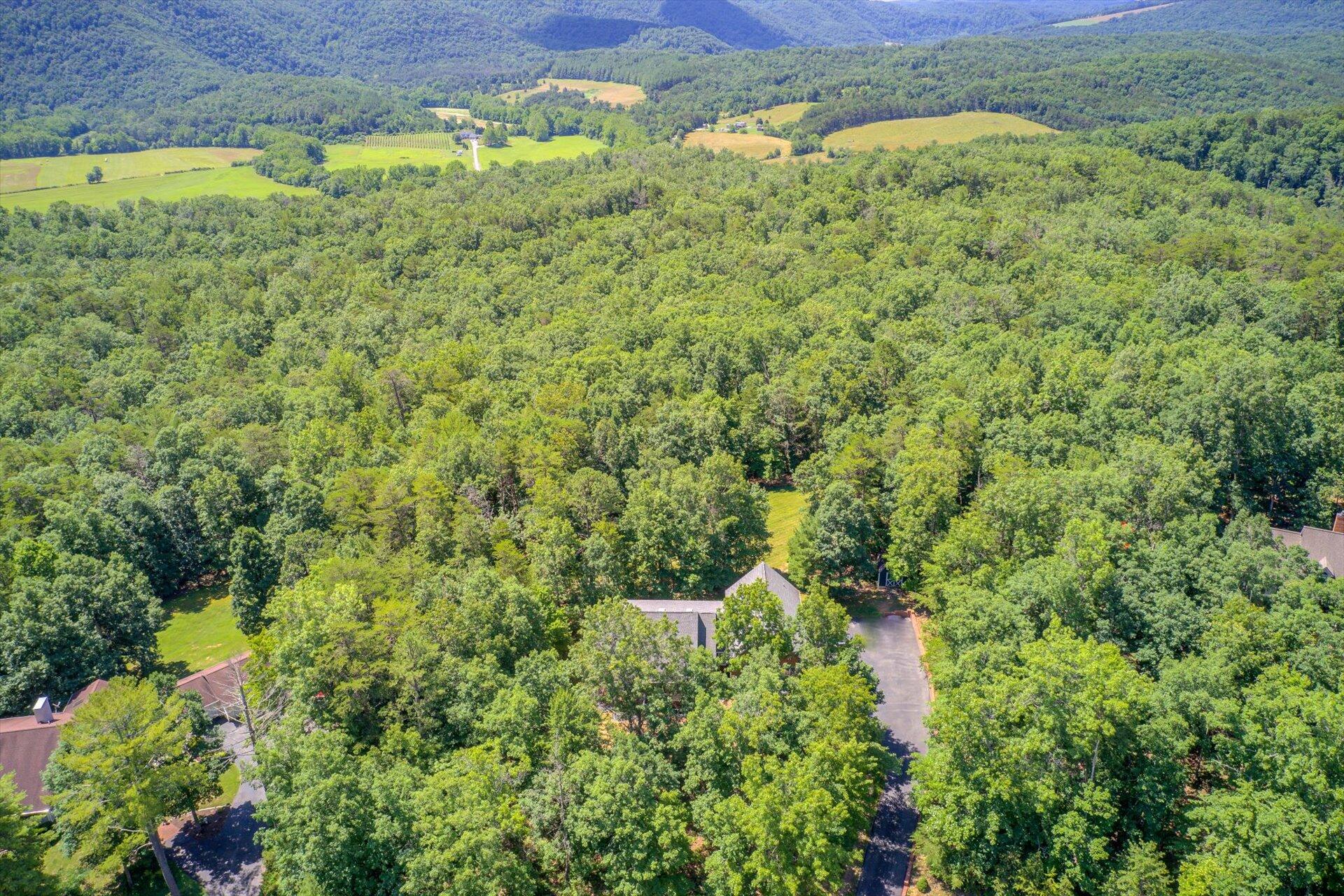 2795 New Ridge Road Elliston, VA 24087 - Photo 41 of 46 a view of a garden with a building
