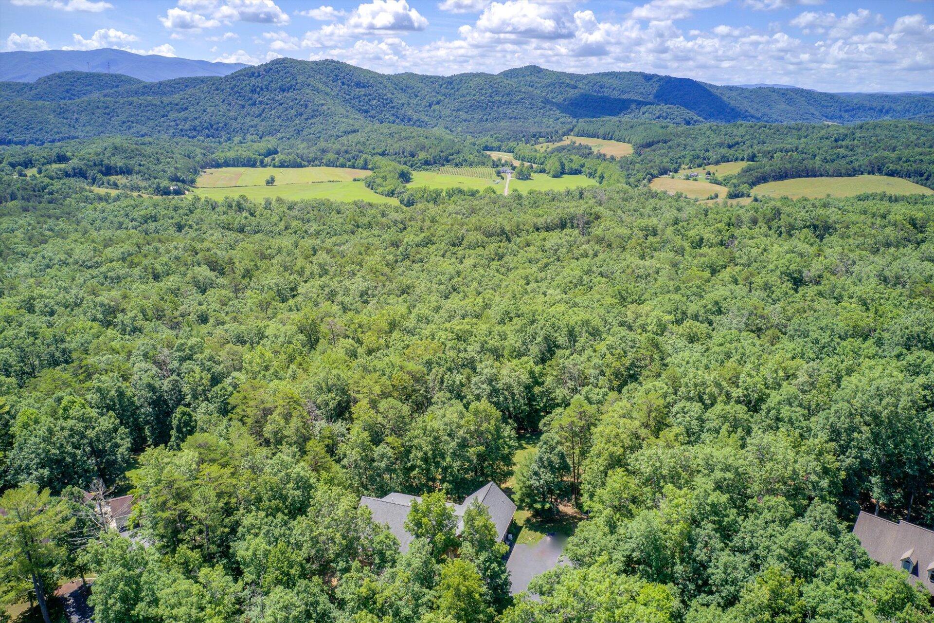 2795 New Ridge Road Elliston, VA 24087 - Photo 42 of 46 an aerial view of a lush green valley