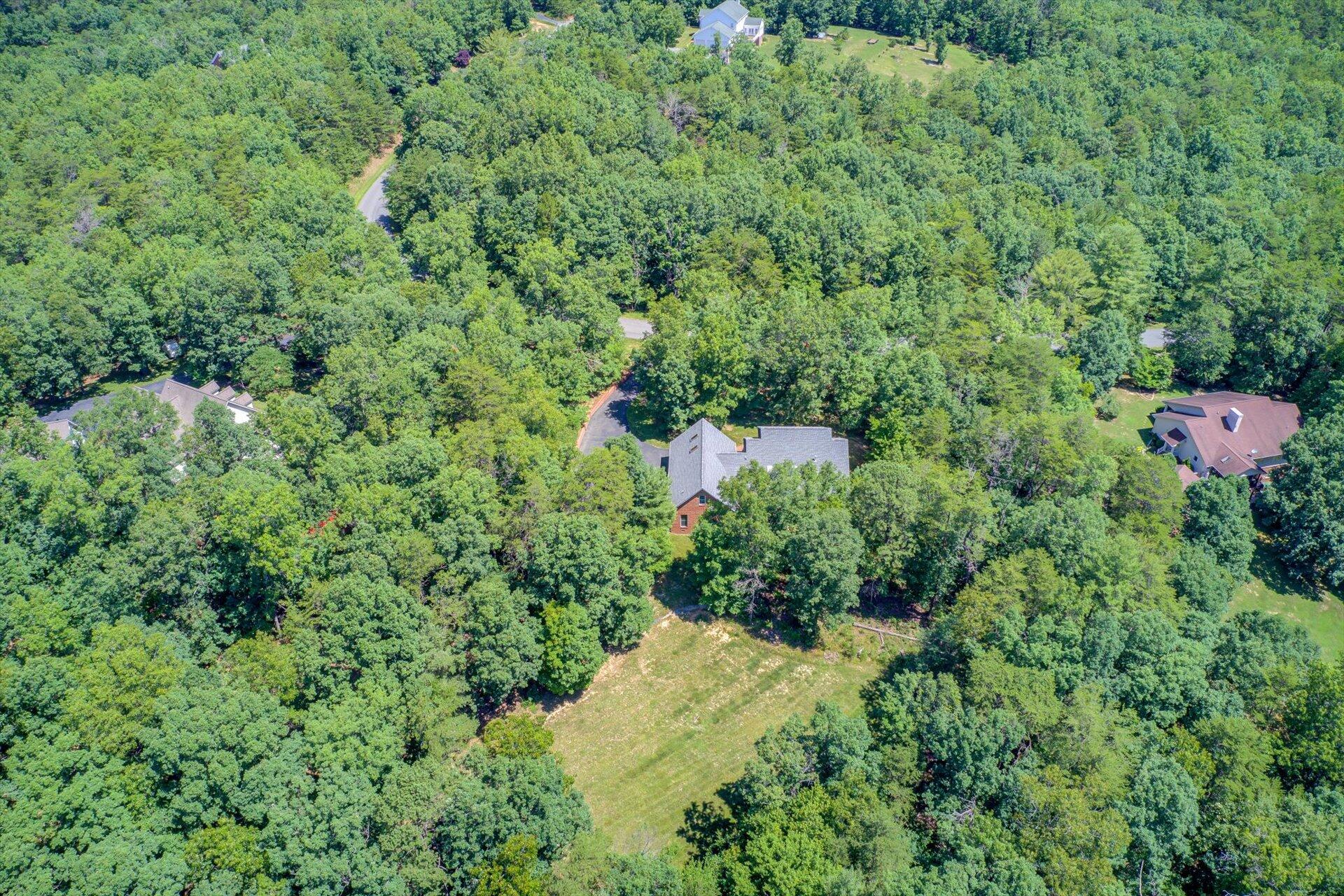 2795 New Ridge Road Elliston, VA 24087 - Photo 43 of 46 a view of a lush green forest with lots of trees