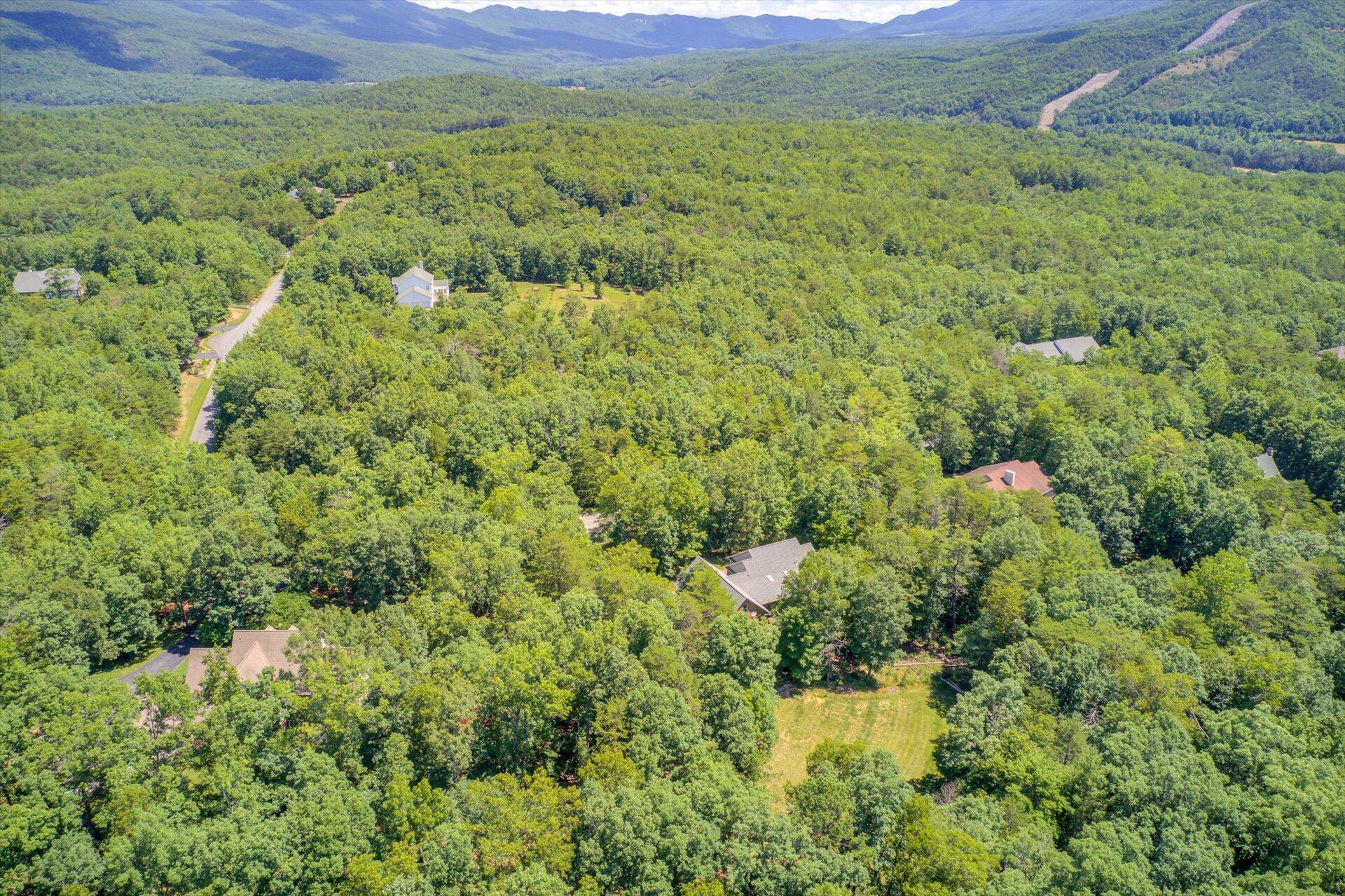 2795 New Ridge Road Elliston, VA 24087 - Photo 44 of 46 a view of a lush green forest with trees in the background