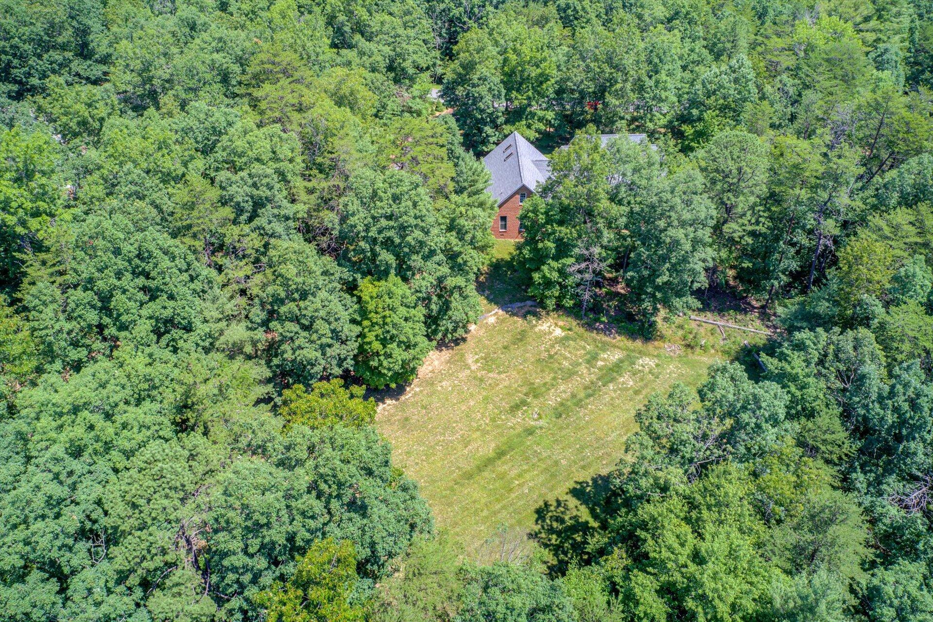 2795 New Ridge Road Elliston, VA 24087 - Photo 45 of 46 a view of a garden with a tree