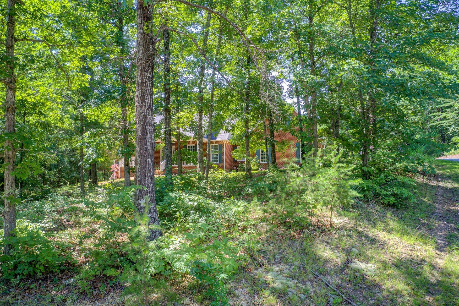 2795 New Ridge Road Elliston, VA 24087 - Photo 46 of 46 a view of a garden