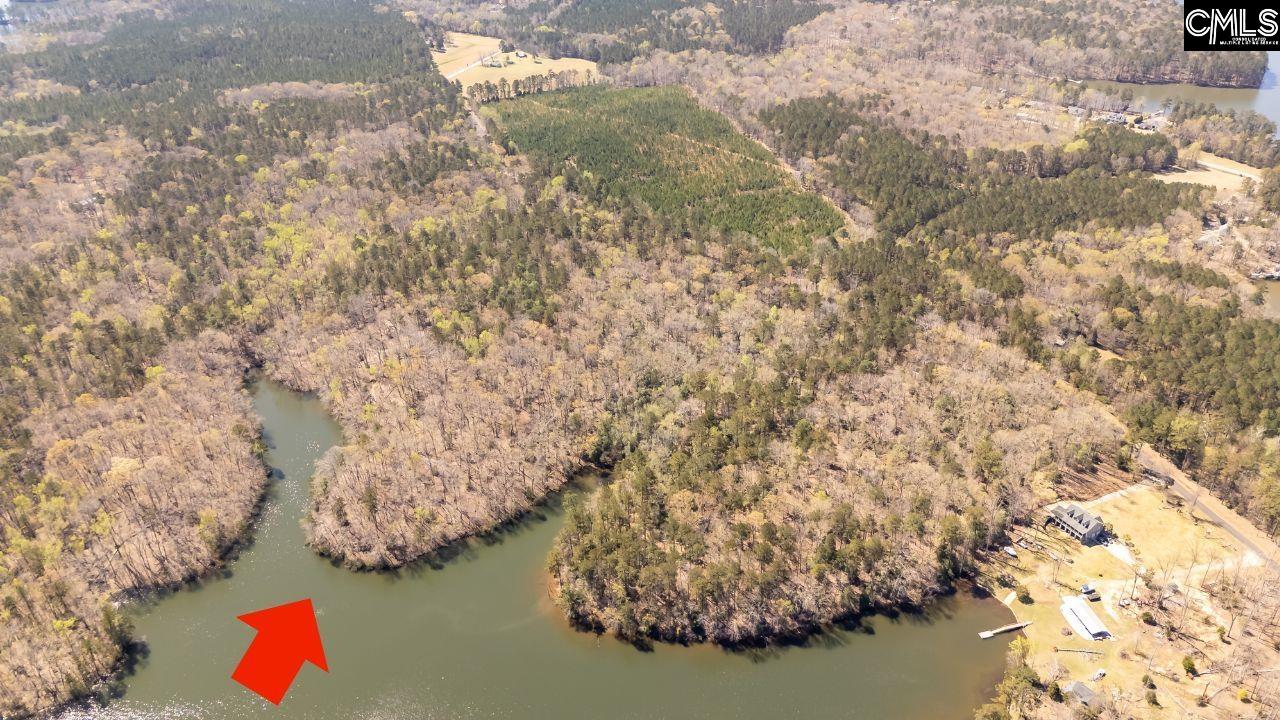 0 Ivy Link Road Leesville, SC 29070 - Photo 1 of 3