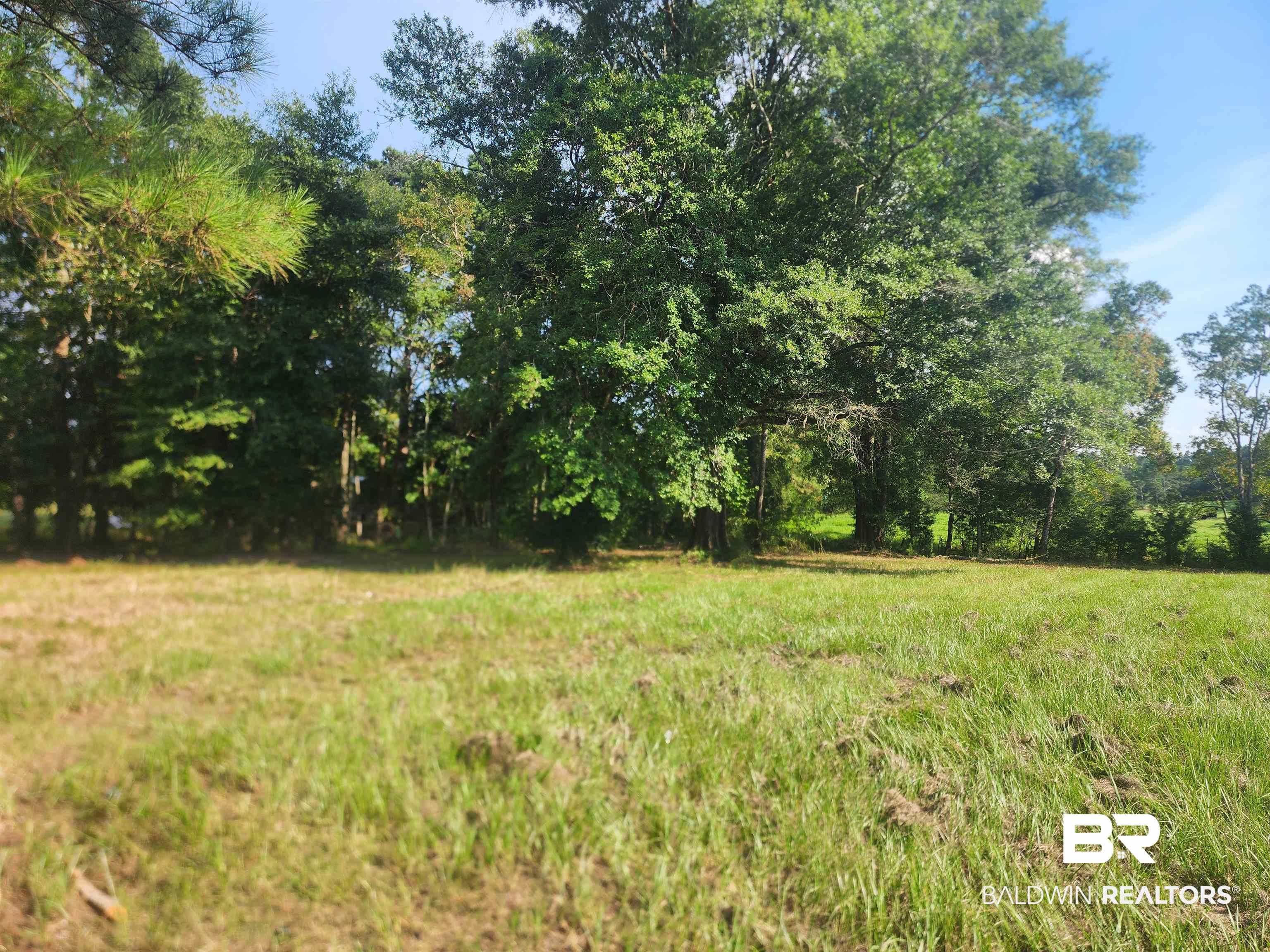 35579 County Road 39 Stapleton, AL 36578 - Photo 2 of 3 View of yard