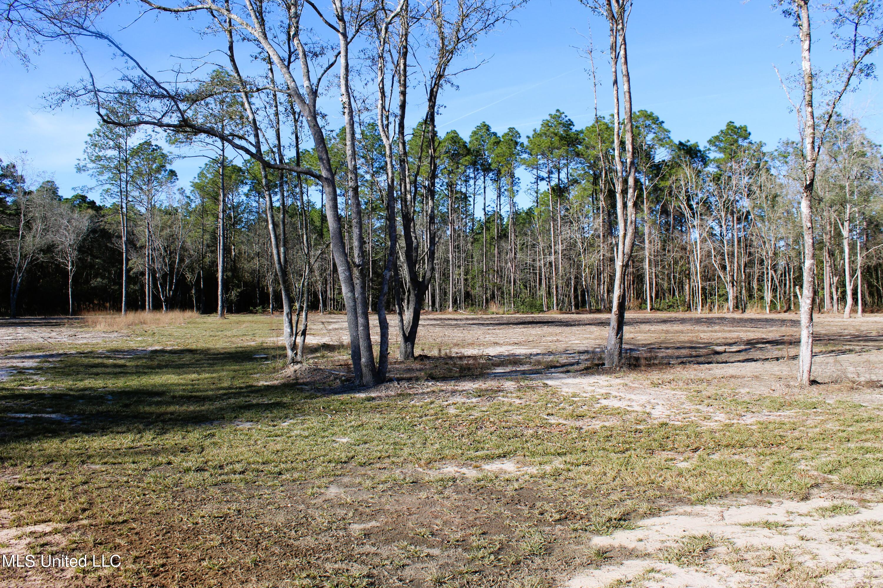 6 Oak Grove Moss Point, MS 39562 - Photo 3 of 4 Parcel 6-2