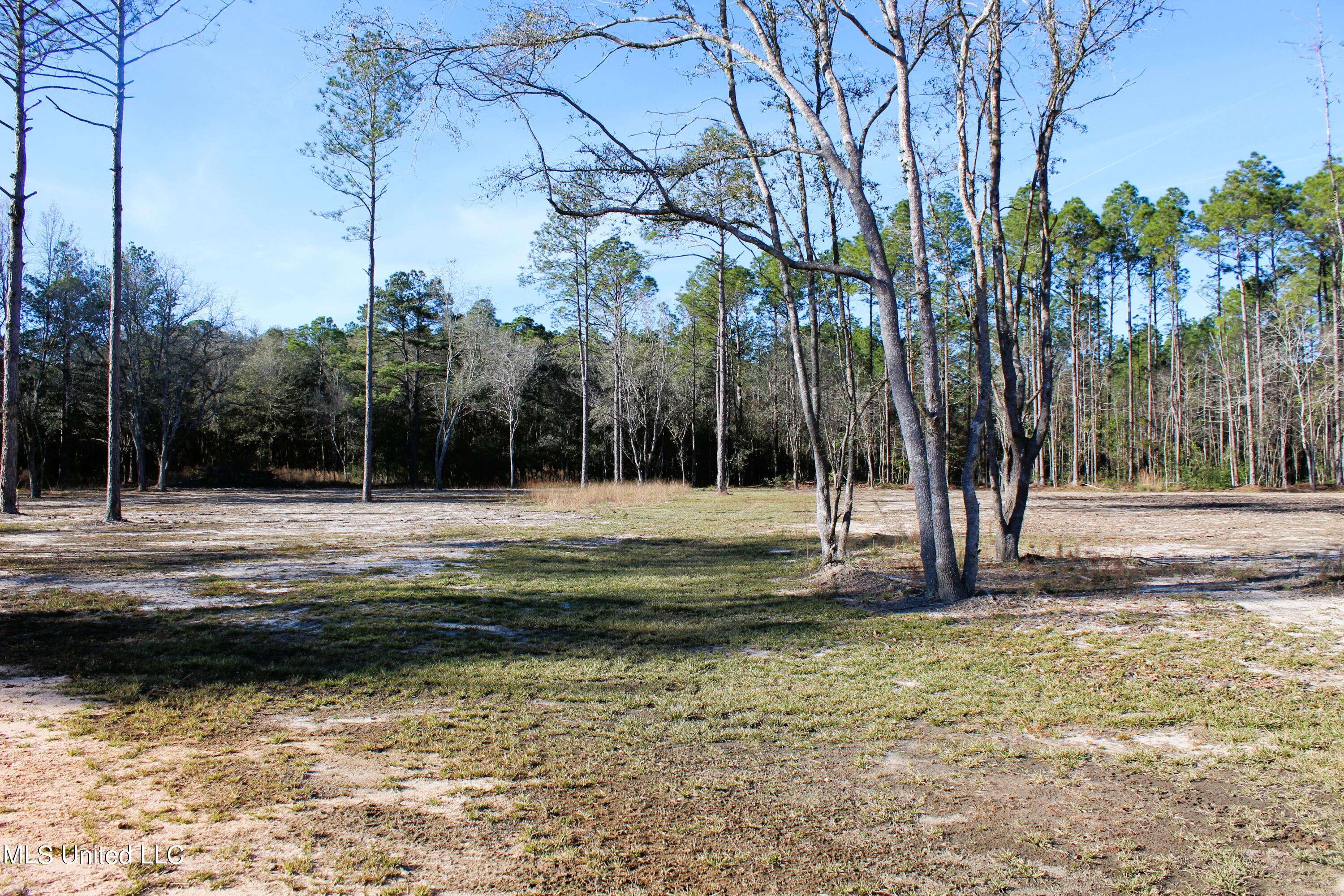 6 Oak Grove Moss Point, MS 39562 - Photo 4 of 4 parcel 6