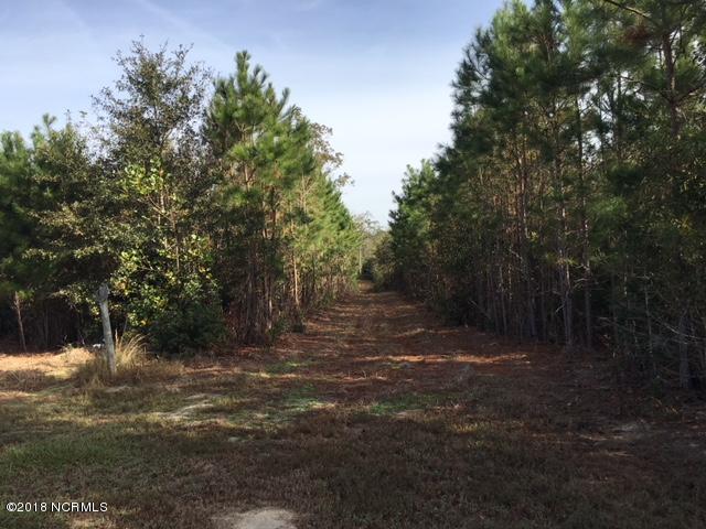 199 Waycross Road Turkey, NC 28393 - Photo 15 of 16 IMG_1226