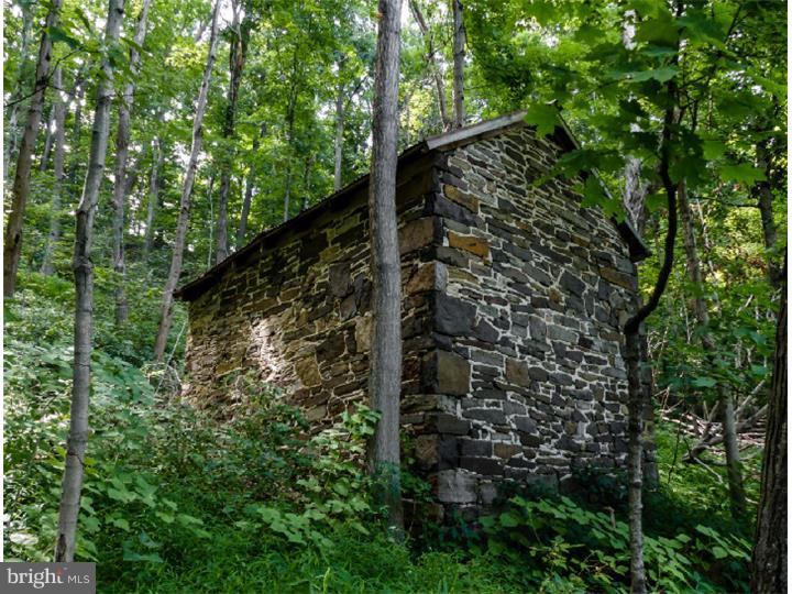 2830 Dark Hollow Road Jamison, PA 18929 - Photo 20 of 24 View