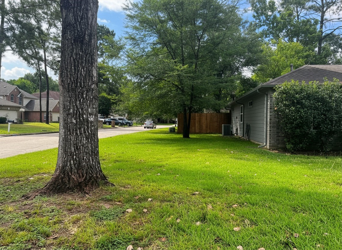 25314 Laurel Green Street Spring, TX 77373 - Photo 4 of 25