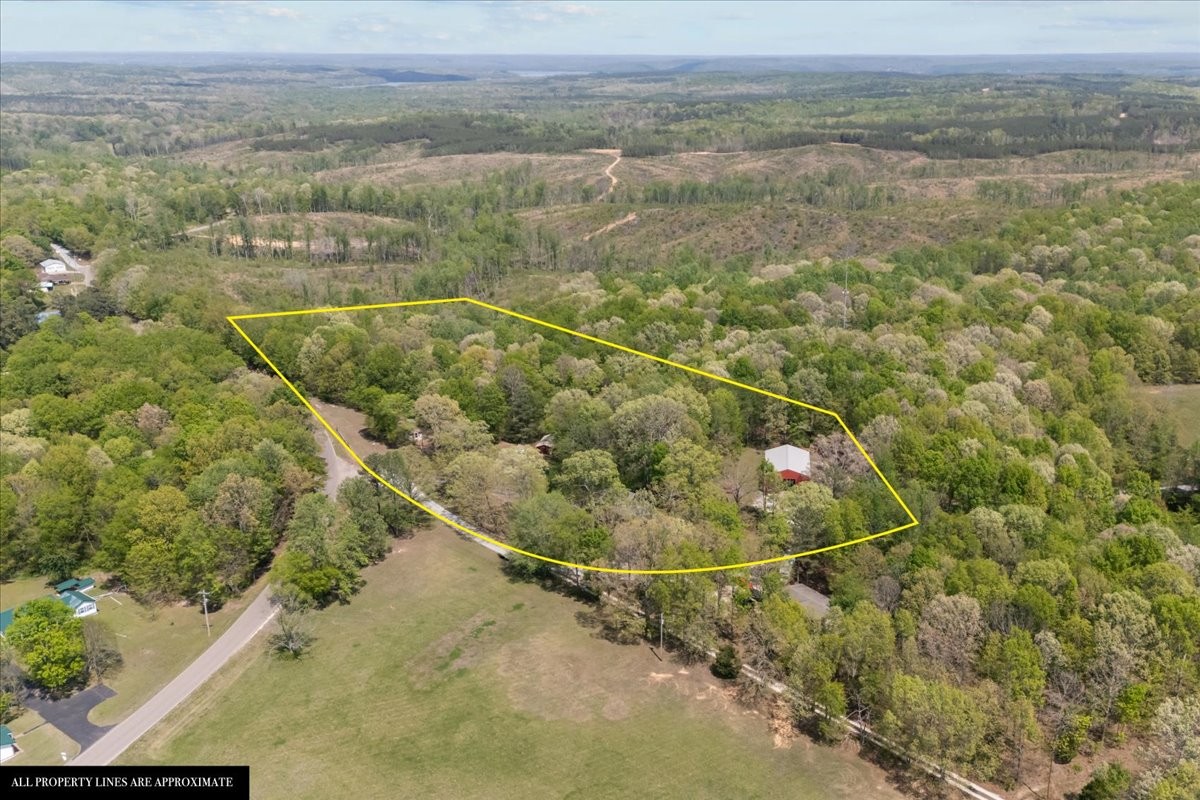 48 Hill Road Big Sandy, TN 38221 - Photo 45 of 54 a view of a yard