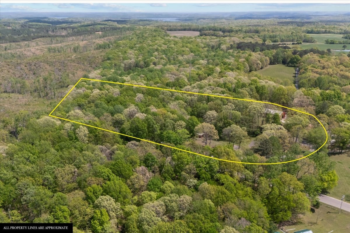 48 Hill Road Big Sandy, TN 38221 - Photo 52 of 54 a view of a field