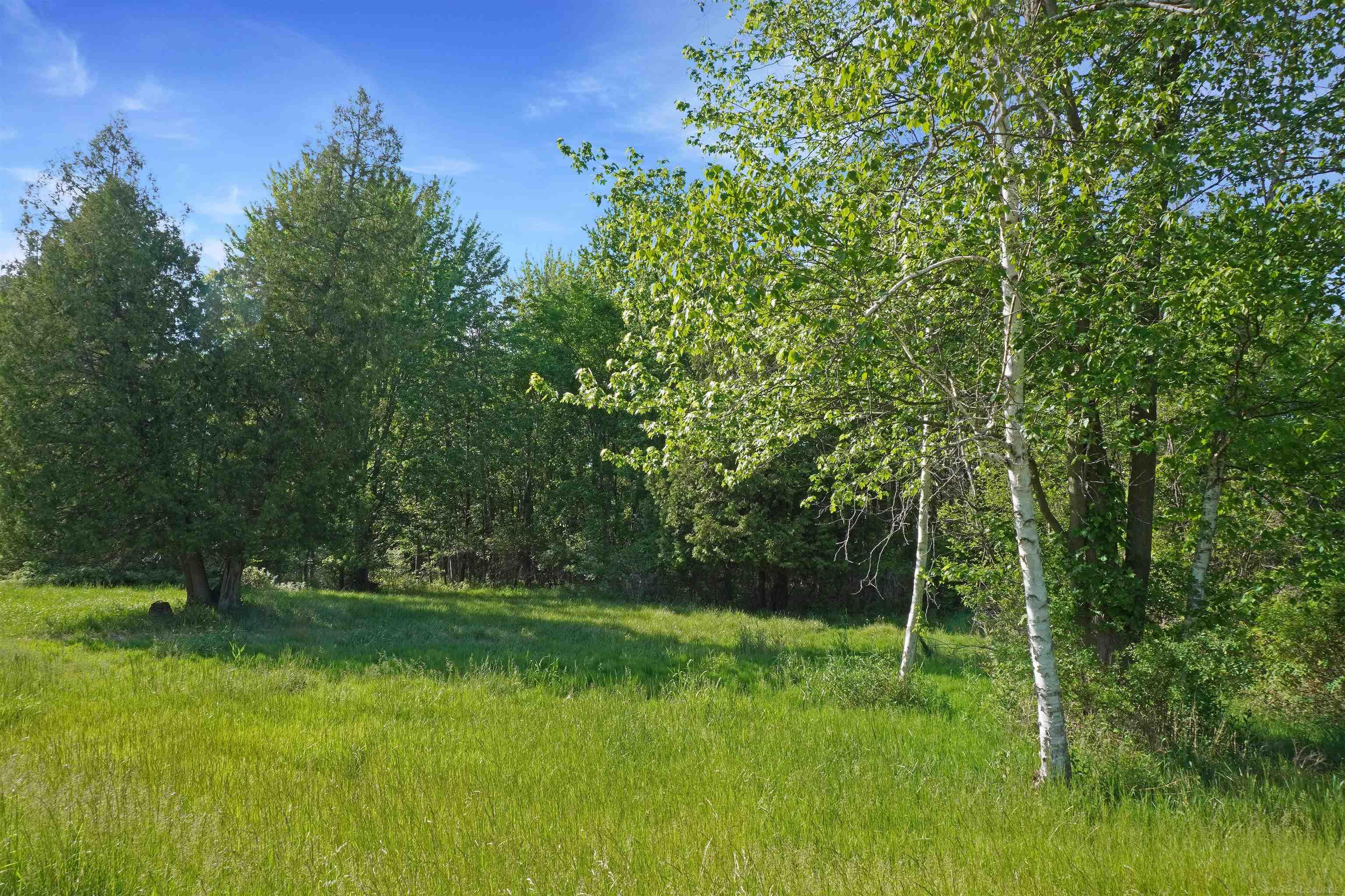 1385 North Blacks Corners Road Imlay City, MI 48444 - Photo 21 of 57