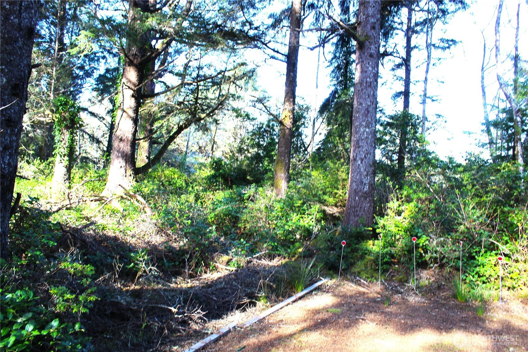 43 Dolphin Street Copalis Beach, WA 98535 - Photo 25 of 35