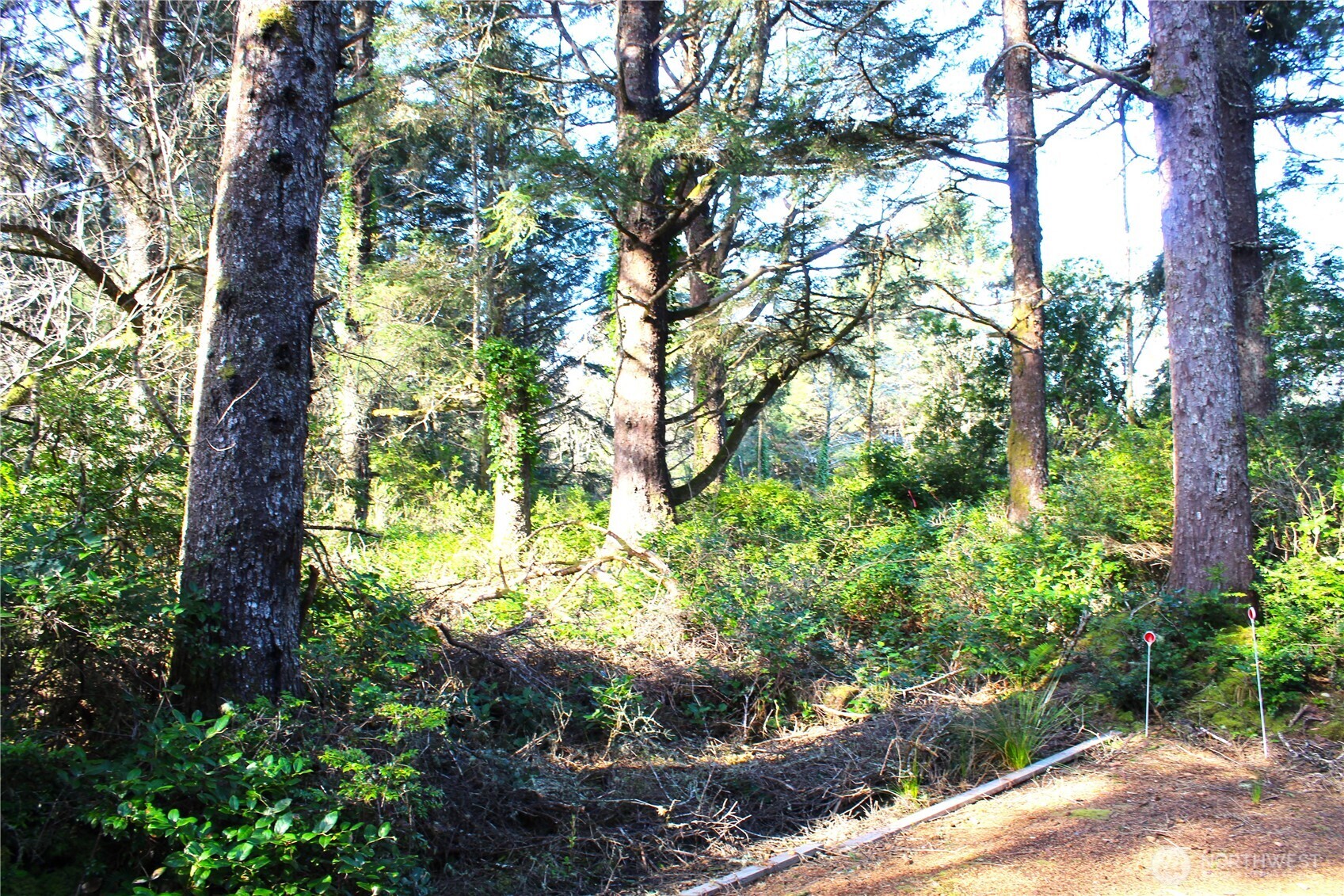 43 Dolphin Street Copalis Beach, WA 98535 - Photo 26 of 35