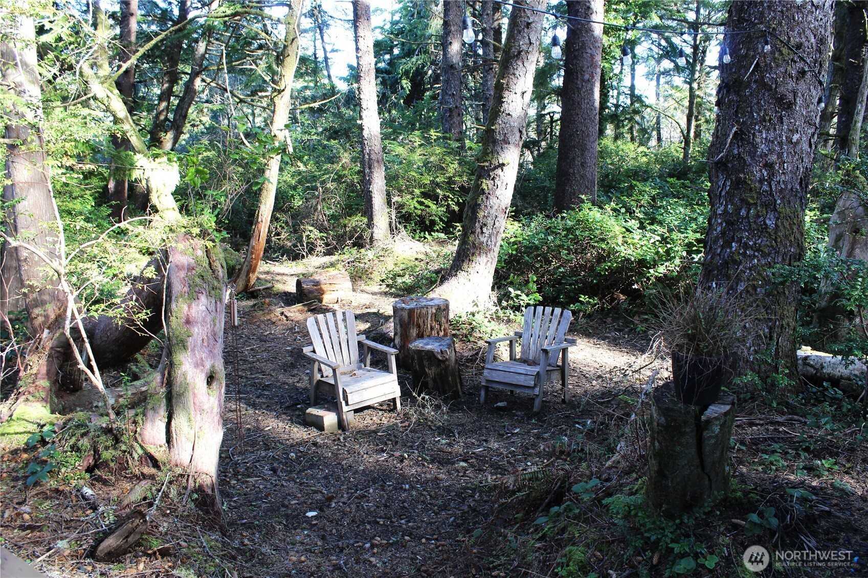 43 Dolphin Street Copalis Beach, WA 98535 - Photo 27 of 35