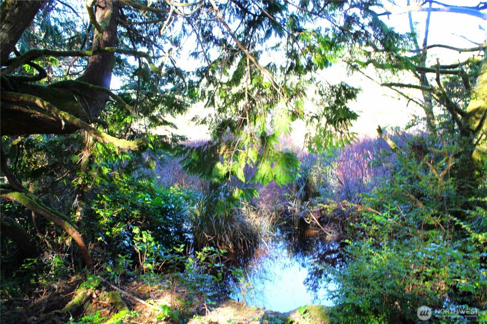 43 Dolphin Street Copalis Beach, WA 98535 - Photo 30 of 35