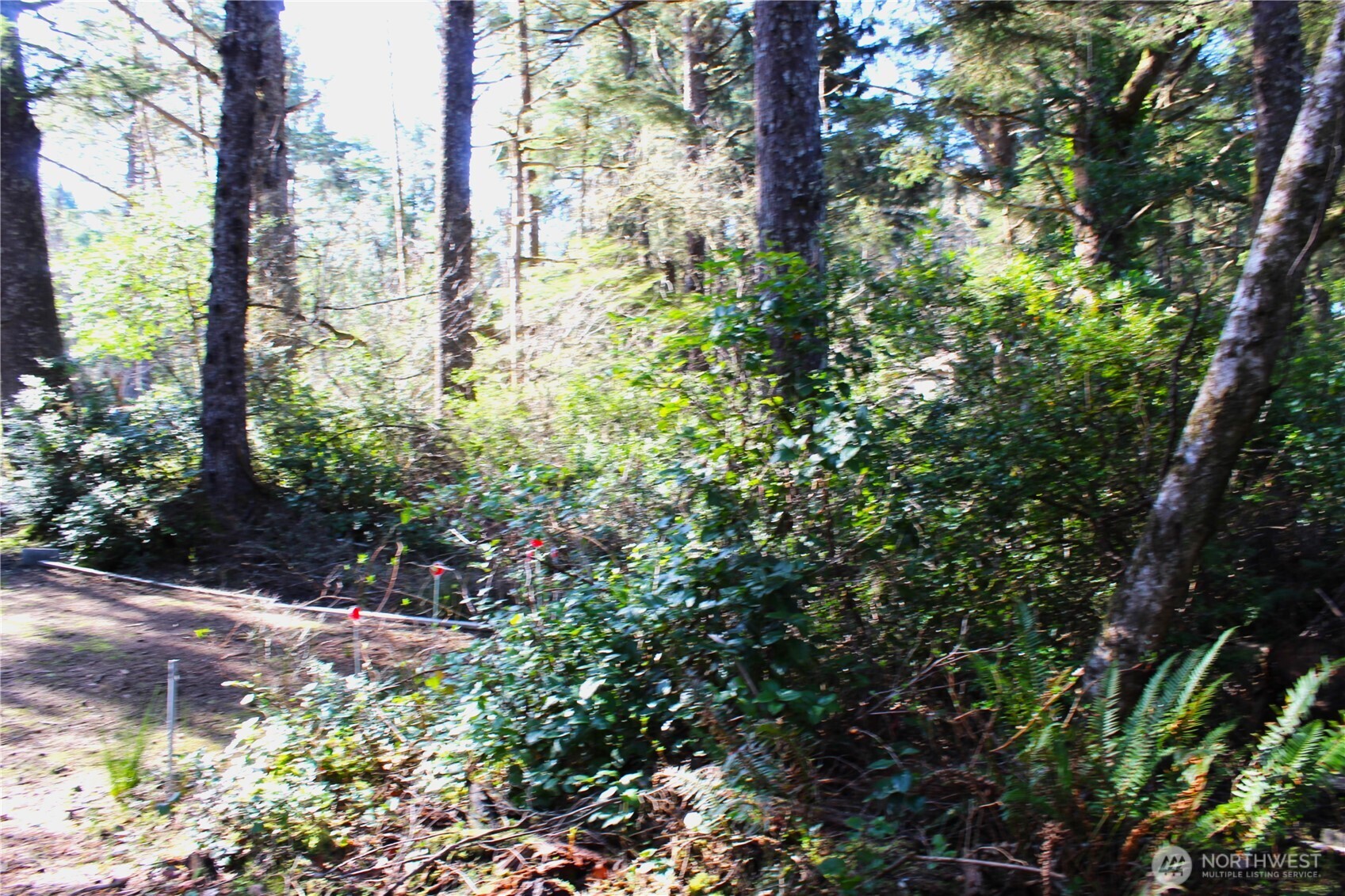 43 Dolphin Street Copalis Beach, WA 98535 - Photo 31 of 35