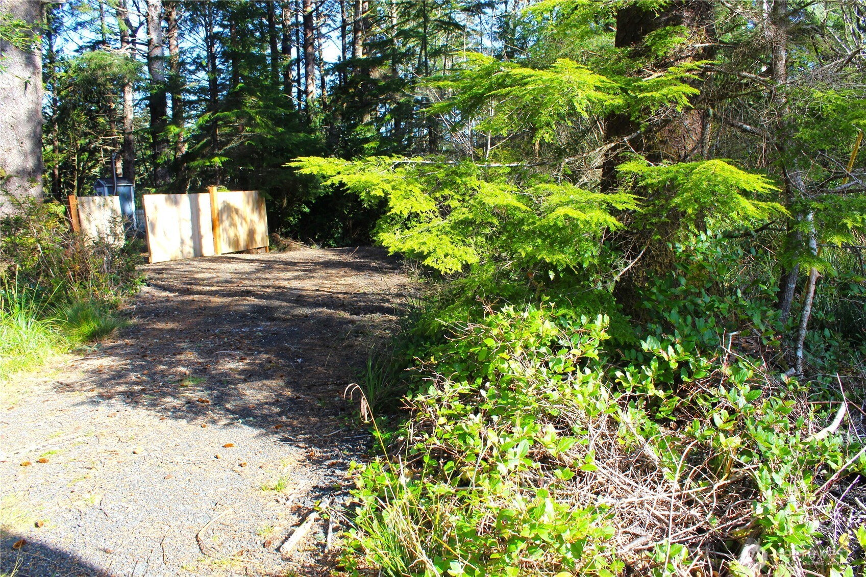 43 Dolphin Street Copalis Beach, WA 98535 - Photo 4 of 35