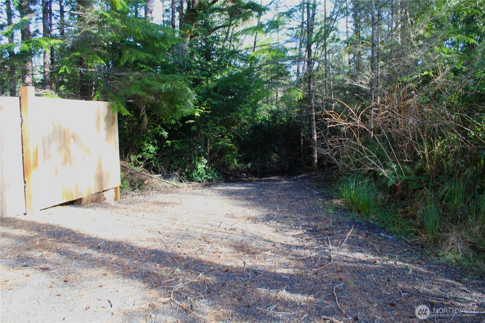 43 Dolphin Street Copalis Beach, WA 98535 - Photo 5 of 35