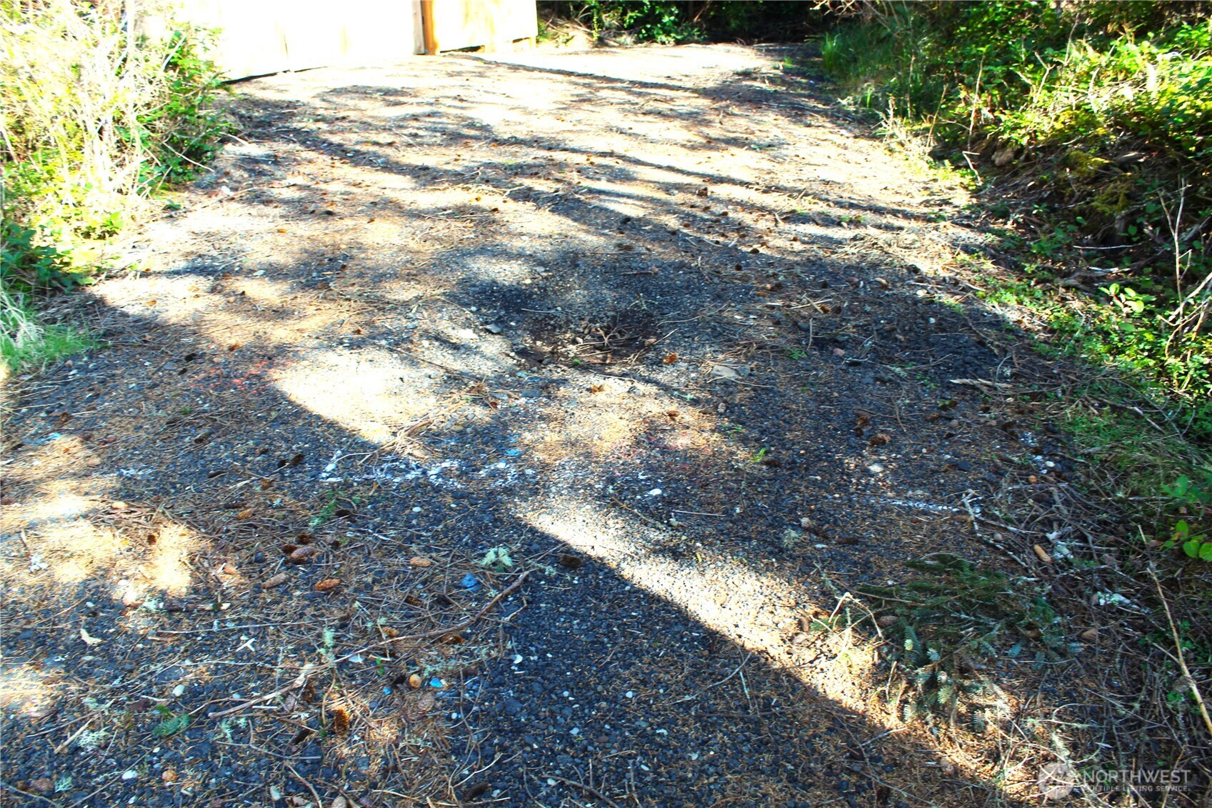 43 Dolphin Street Copalis Beach, WA 98535 - Photo 6 of 35