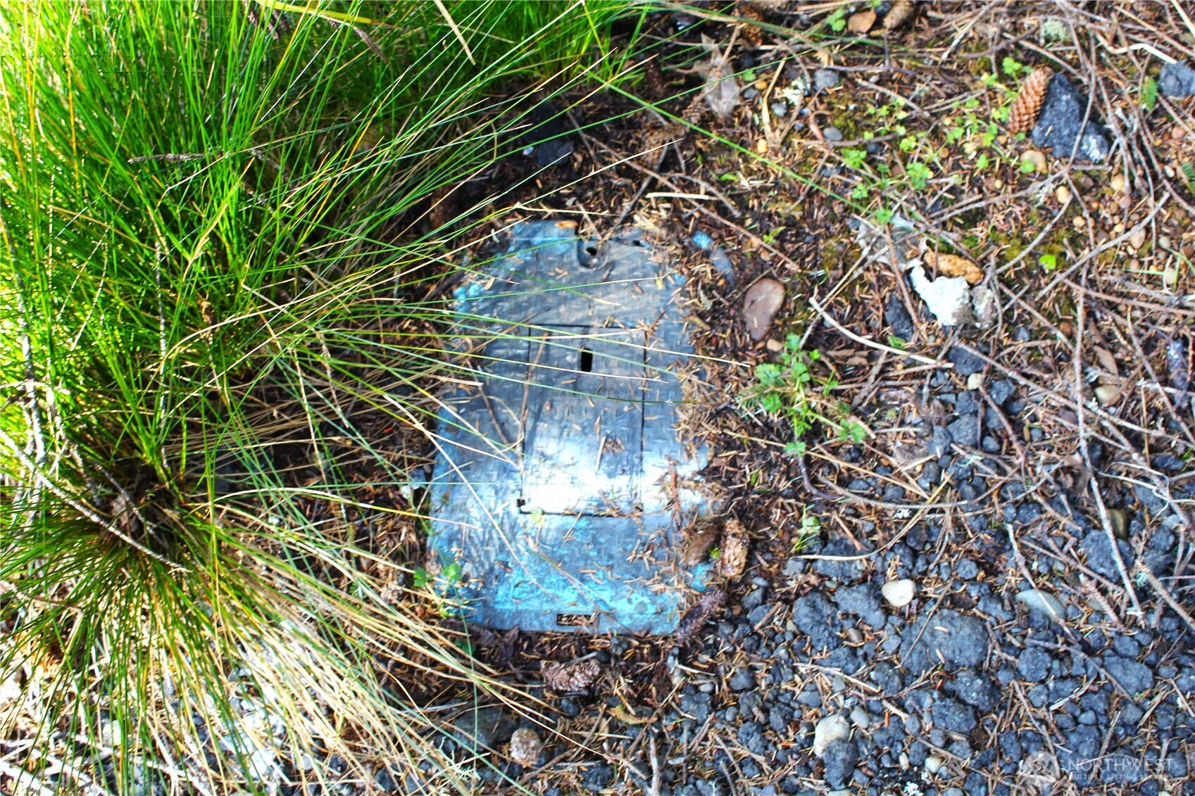 43 Dolphin Street Copalis Beach, WA 98535 - Photo 7 of 35