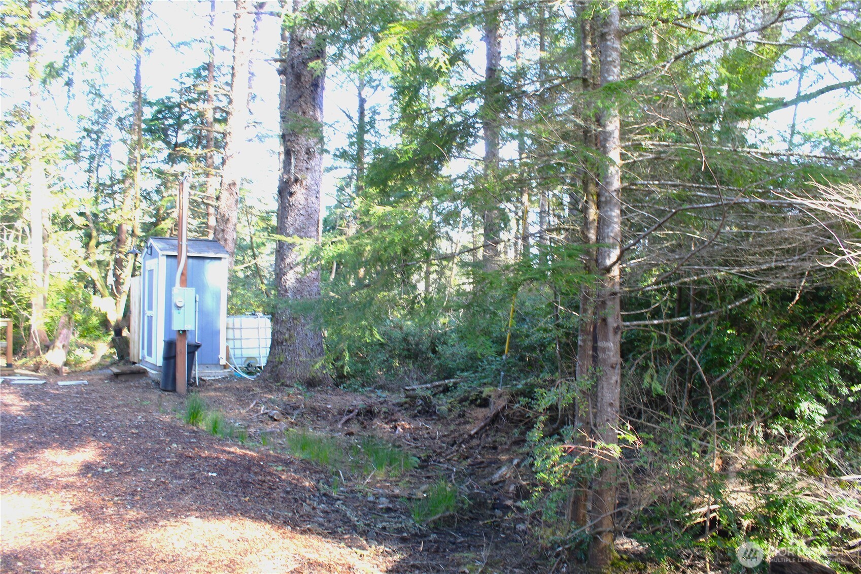 43 Dolphin Street Copalis Beach, WA 98535 - Photo 10 of 35