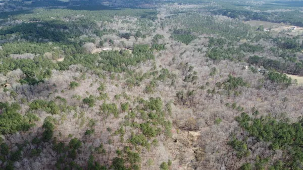 $170,000 | 27.2-ac John Lewis Drive, Lincolnton, GA 30817