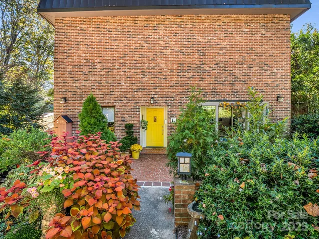a view of a yard with plants and large trees