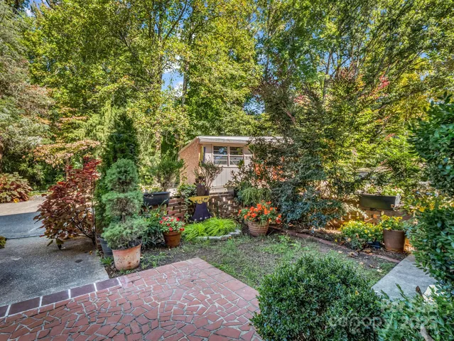 a view of a garden with plants and a bench