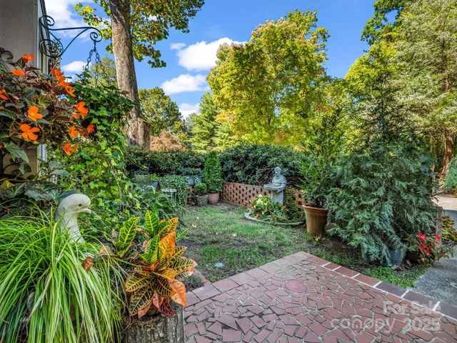 a view of a backyard with plants and a garden