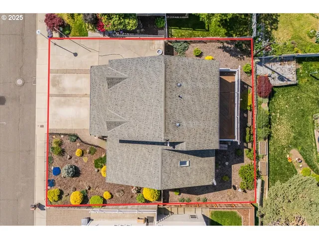 an aerial view of ocean and trees