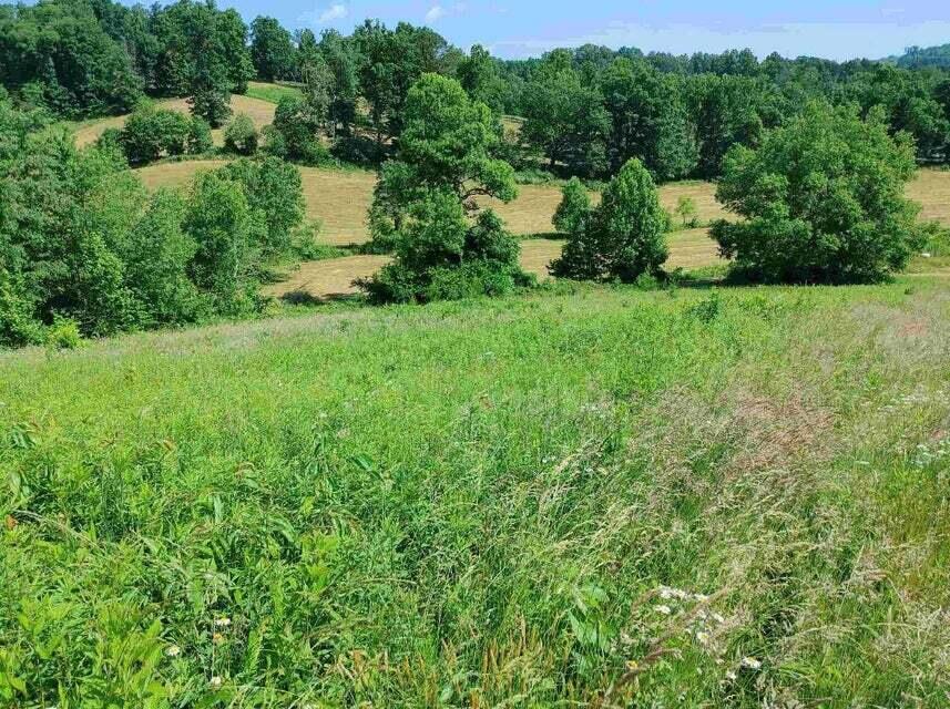 0 Keith Hinkle Road Corbin, KY 40701 - Photo 17 of 28 20220603150550106812000000-o