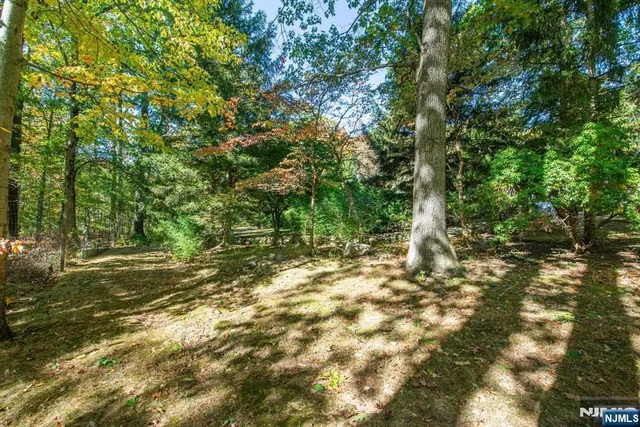 a view of a big yard next to a building