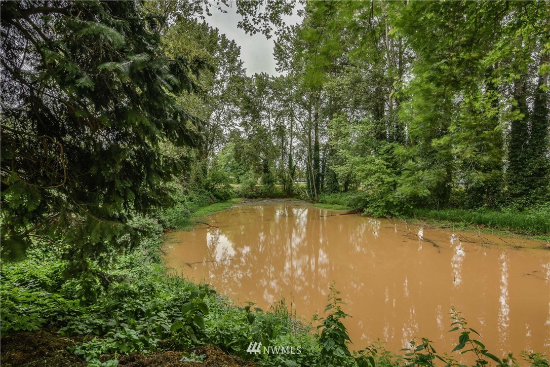 16464 Britt Road Mount Vernon, WA 98273 - Photo 14 of 19 Gallery Image 14