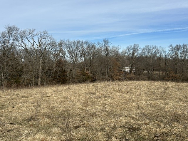 9022 Sheets Road Argenta, IL 62501 - Photo 44 of 45