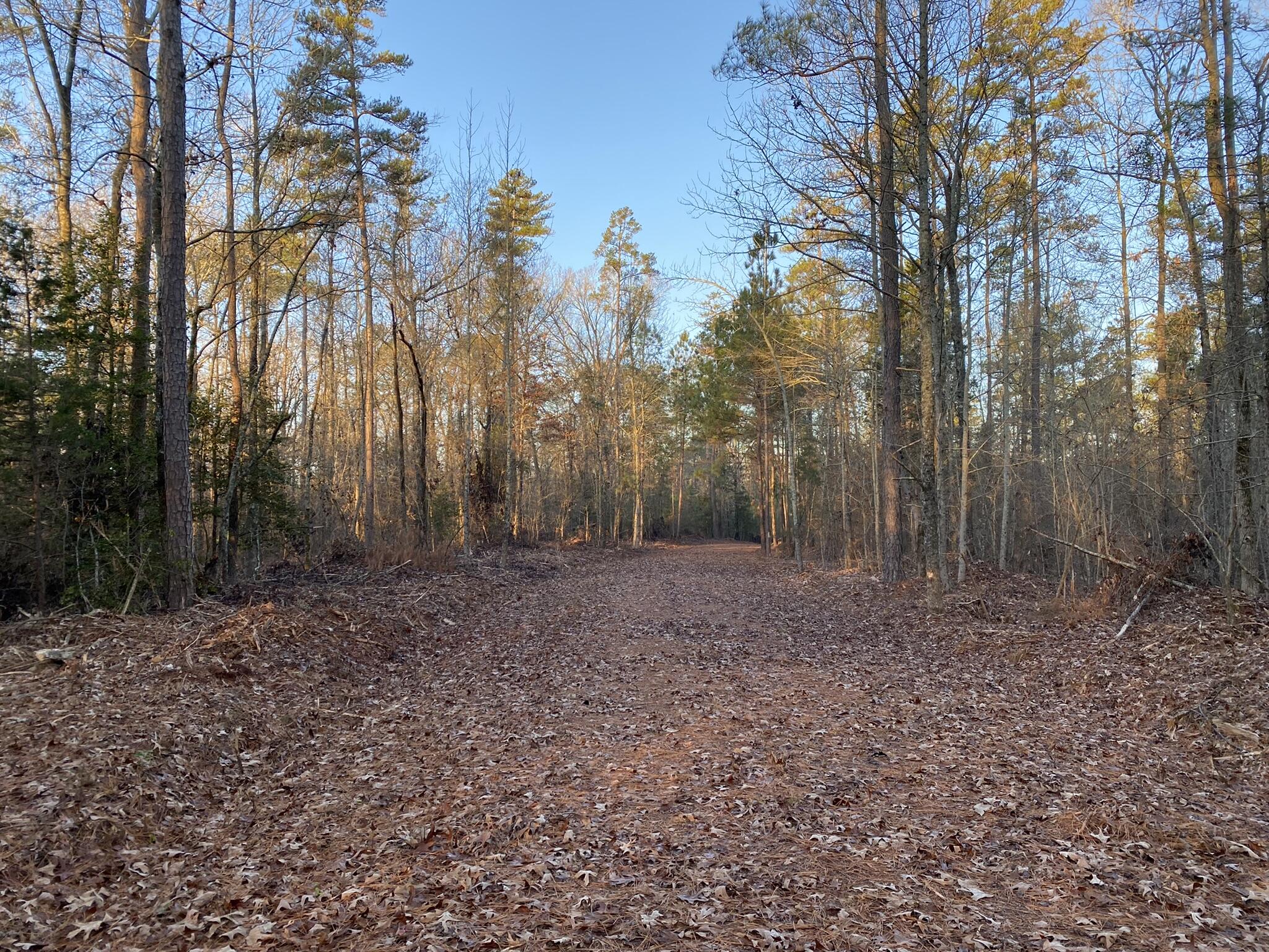 Batesburg-leesville Sc 29006 Road Leesville, SC 29070 - Photo 7 of 22