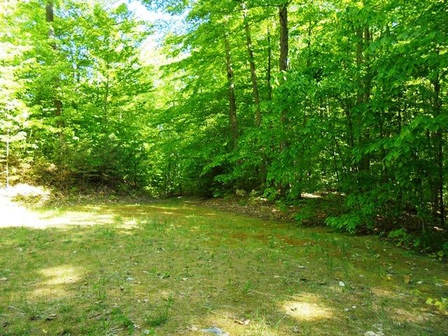3141 North Abbe Road Comins, MI 48619 - Photo 17 of 19 Gallery Image 17